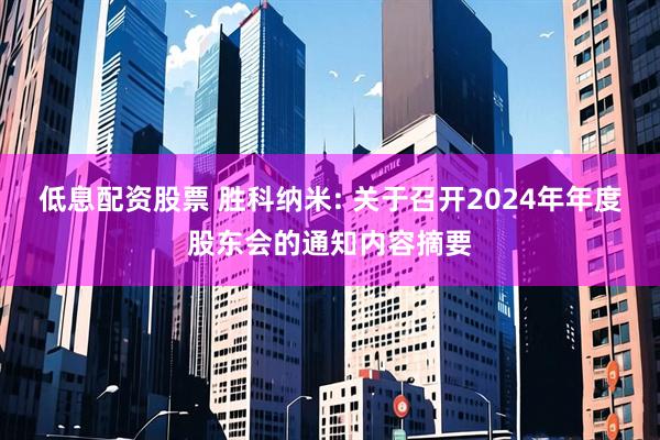 低息配资股票 胜科纳米: 关于召开2024年年度股东会的通知内容摘要