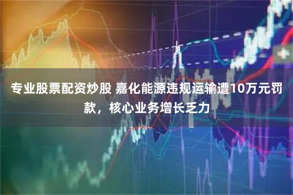 专业股票配资炒股 嘉化能源违规运输遭10万元罚款，核心业务增长乏力