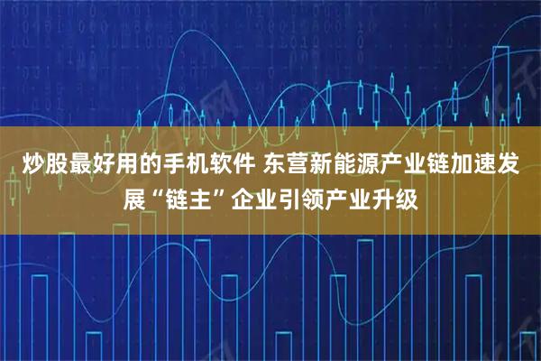 炒股最好用的手机软件 东营新能源产业链加速发展“链主”企业引领产业升级