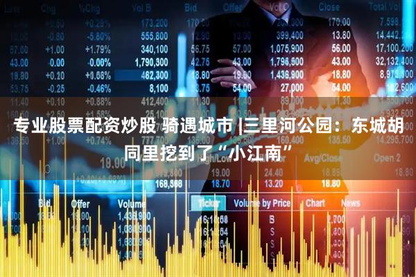 专业股票配资炒股 骑遇城市 |三里河公园：东城胡同里挖到了“小江南”